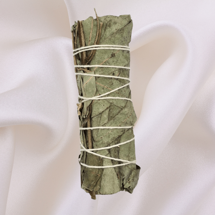 Eucalyptus Sage