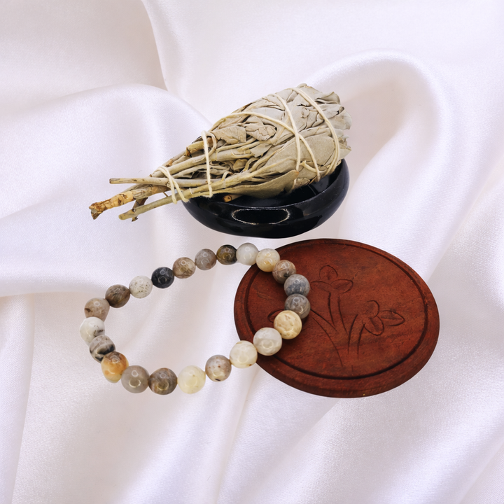 Transformation Smudge Set