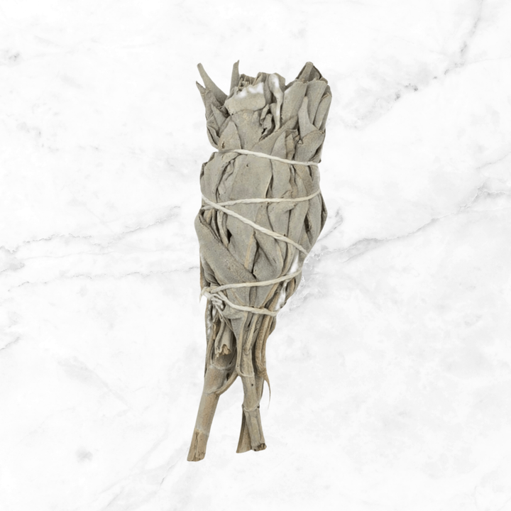 White Sage