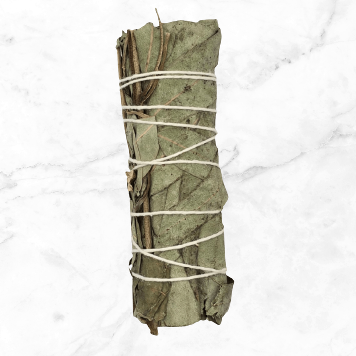 Eucalyptus Sage