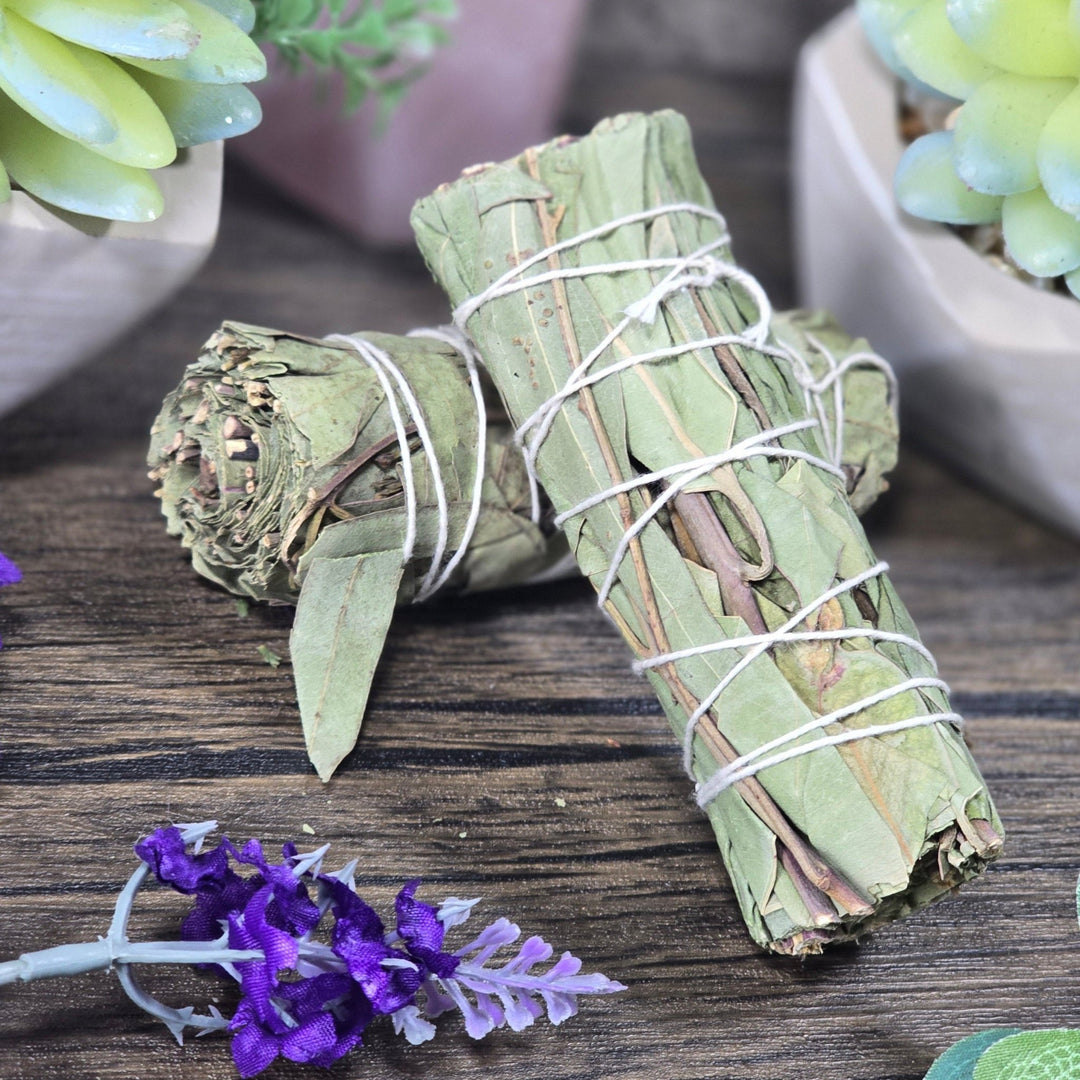 Sage - Eucalyptus Sage - The Lavish Essentials