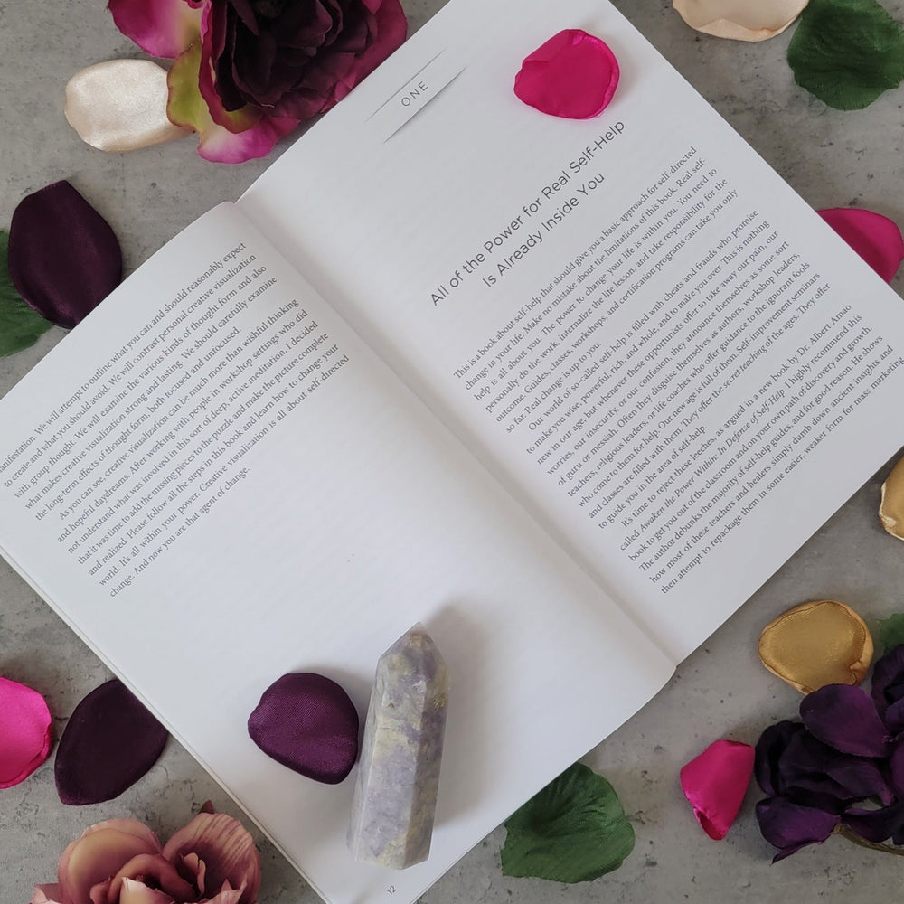 book - Manifesting: Using Thought Forms to Visualize Real Change - The Lavish Essentials