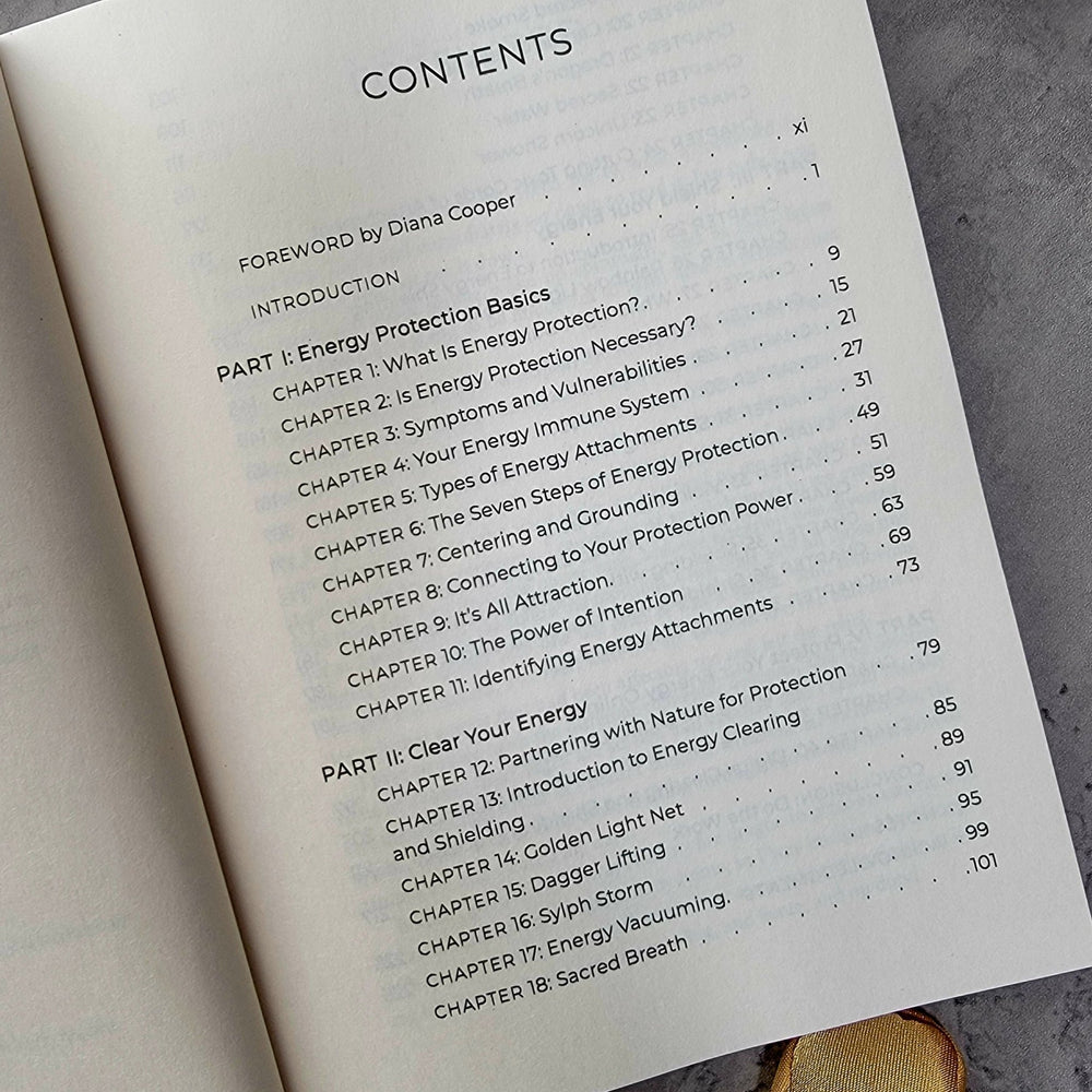 book - Protect Your Light - The Lavish Essentials