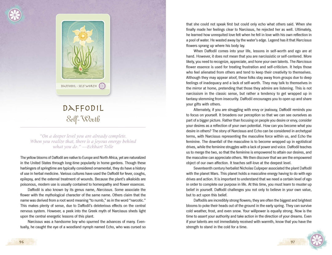 Tarot Cards - The Herbal Healing Deck - The Lavish Essentials