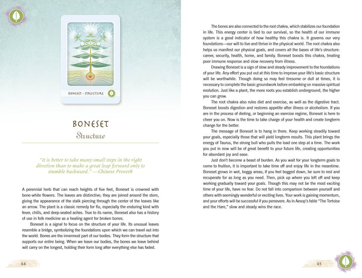 Tarot Cards - The Herbal Healing Deck - The Lavish Essentials
