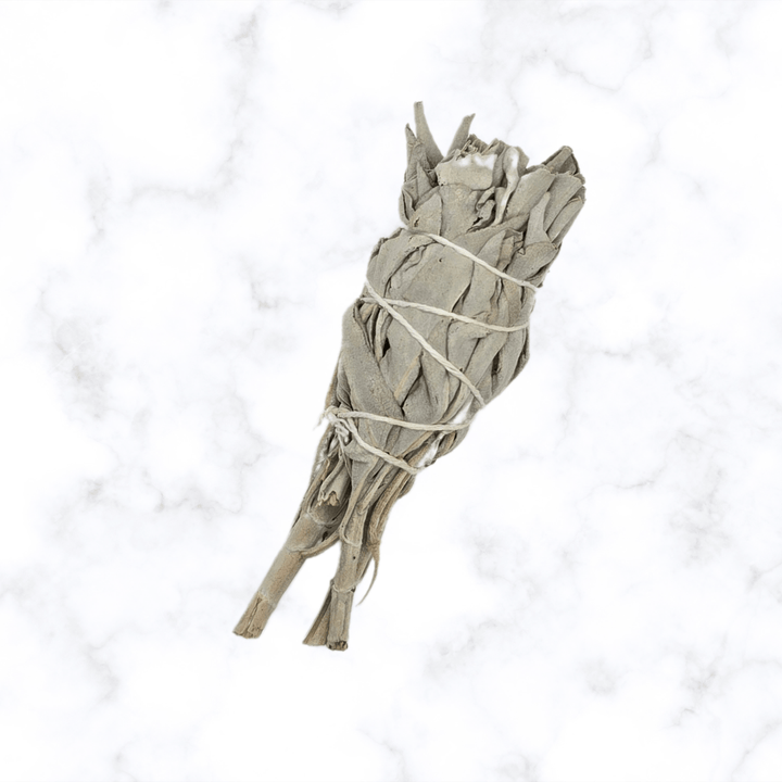 Sage - White Sage - The Lavish Essentials